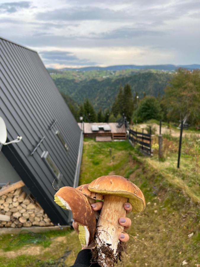 Nordik Cabin - Aframe With 2 Bedrooms Mărişel المظهر الخارجي الصورة